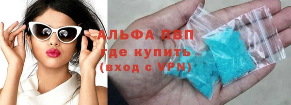 прущие грибы Осинники