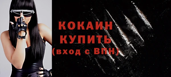 дмт Пестово