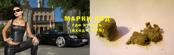 прущие грибы Осинники