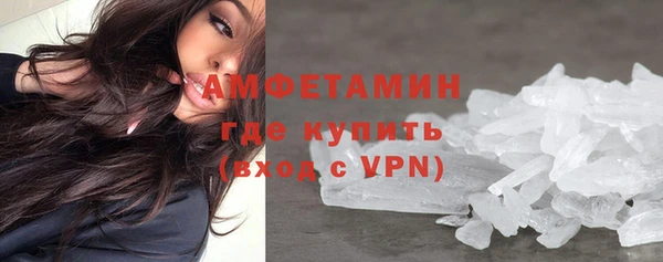 прущие грибы Осинники