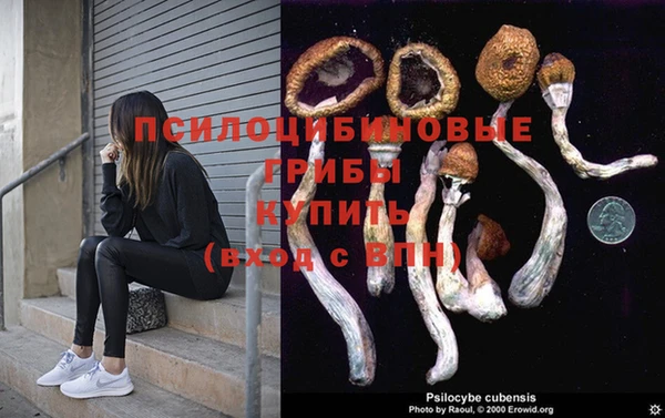 mdpv Верея
