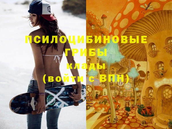 дмт Пестово