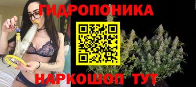бошки Донецк