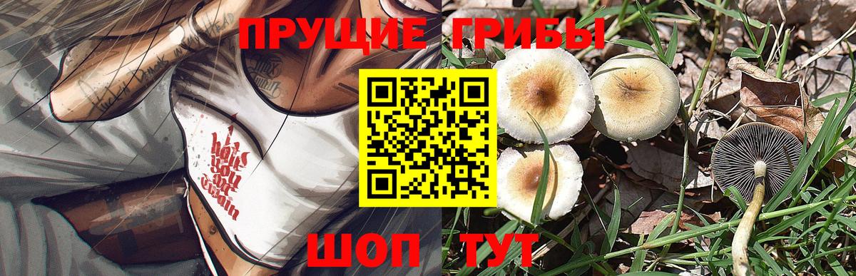 Псилоцибиновые грибы мухоморы Лангепас