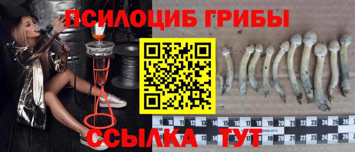 Псилоцибиновые грибы прущие грибы  Вход с VPN  Лангепас 